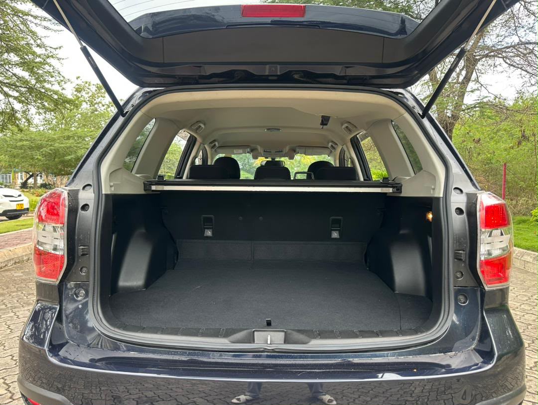 FORESTER thumbnail 7